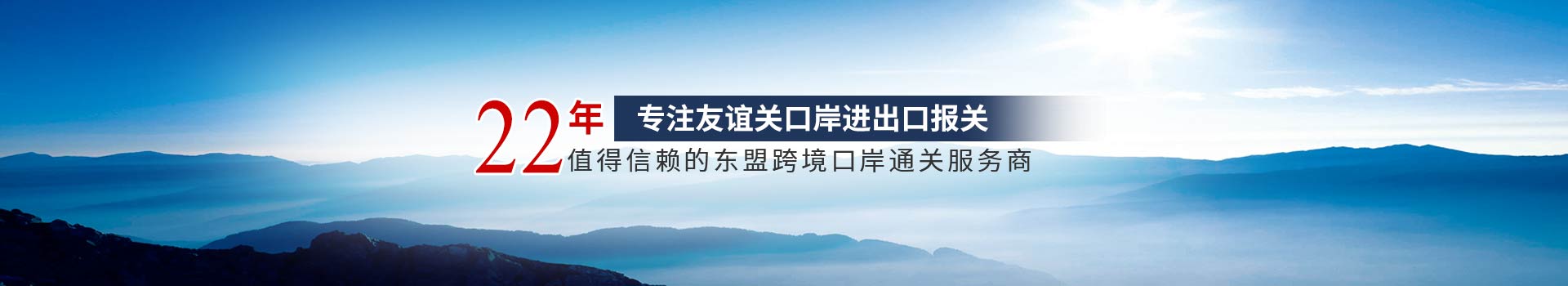 安利泰-22年专注友谊关口岸进出口报关